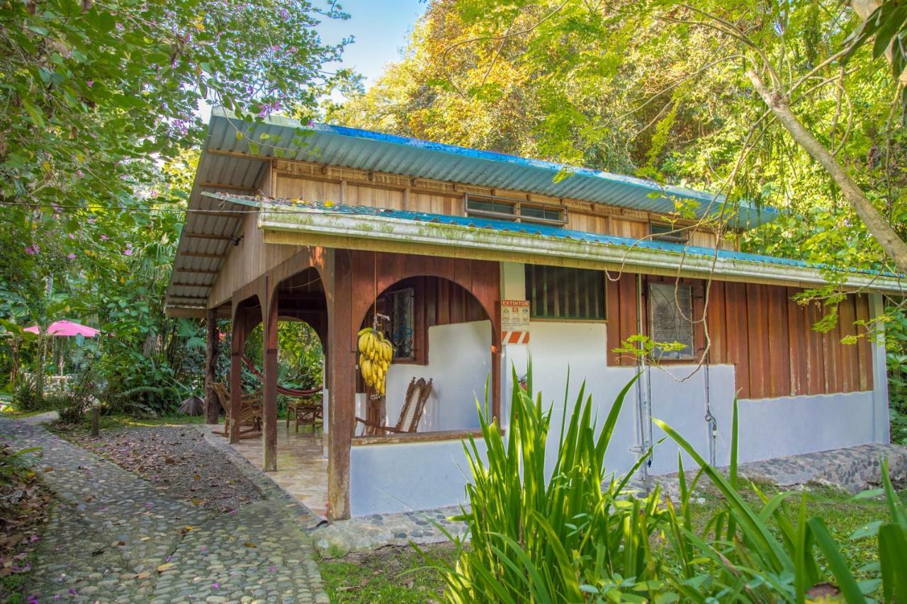 Cabinas Iguana Cahuita Exterior photo